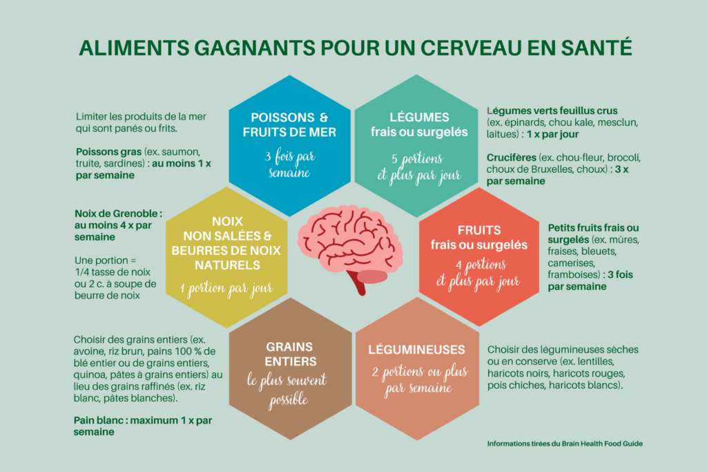 Le cerveau et la nutrition