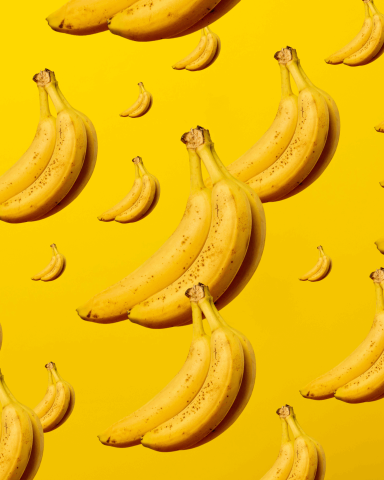 4 x 5 RS publications-9